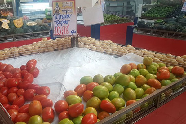 Quilo do tomate chega a mais de R$10,00 e assusta consumidores em Patos de Minas