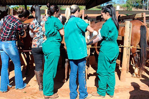 Patos de Minas tem 1º curso de Palpação, ultrassonografia e Inseminação Artificial em éguas