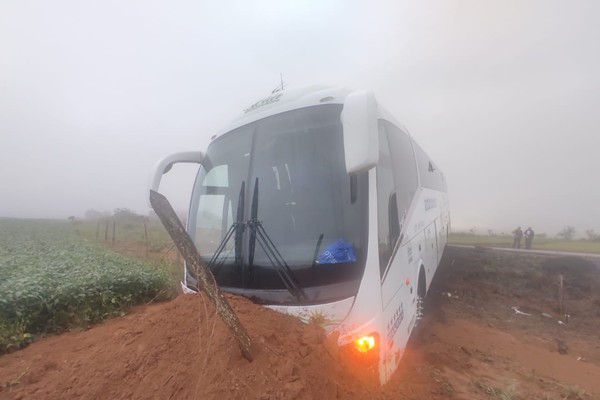Neblina prejudica visão de motorista e ônibus com 9 passageiros vai parar em canteiro da BR 354