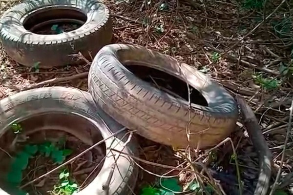 Ambientalista denuncia degradação e acumulo de pneus no Parque Ecológico do Rio Paranaíba