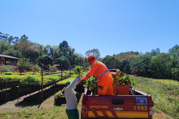 Bombeiros, Prefeitura de São Gonçalo do Abaeté e parceiros promovem reflorestamento de nascentes