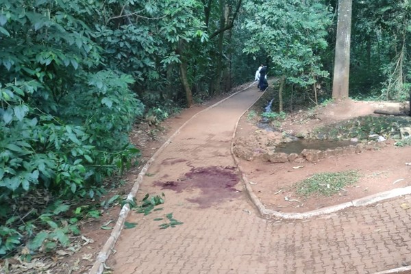 Jovem é assassinado a facadas no interior da mata do Parque do Mocambo