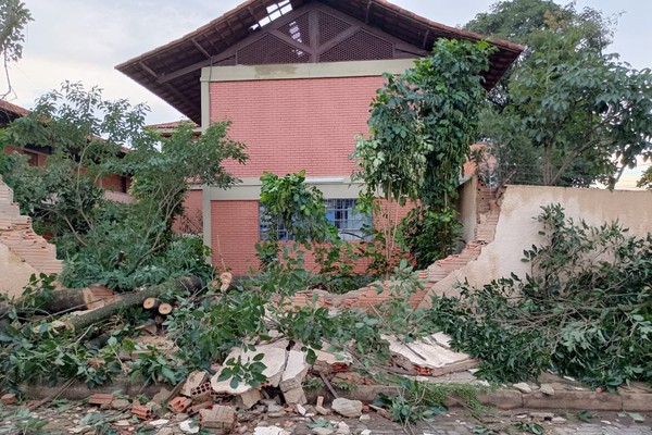 Árvore de grande porte cai sobre muro de escola e mobiliza Bombeiros em Patos de Minas