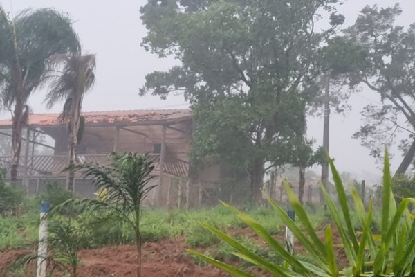 Temporal atinge área de chacreamento em Patos de Minas, arranca árvores e causa estragos