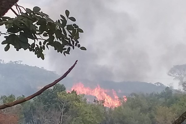 Incêndio destrói mais de 400 hectares de vegetação e causa grandes prejuízos em Serra do Salitre