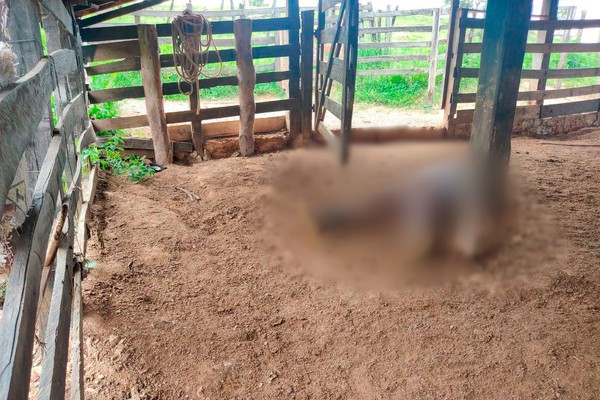 Polícia faz buscas para encontrar homem que matou produtor rural a tiros em Coromandel