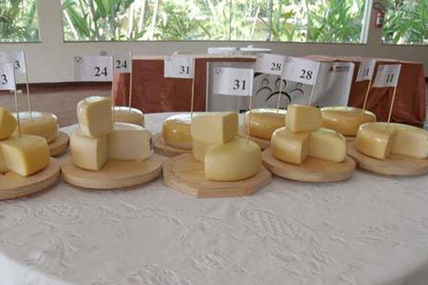 Concurso em Carmo do Paranaíba elege os melhores queijos da região