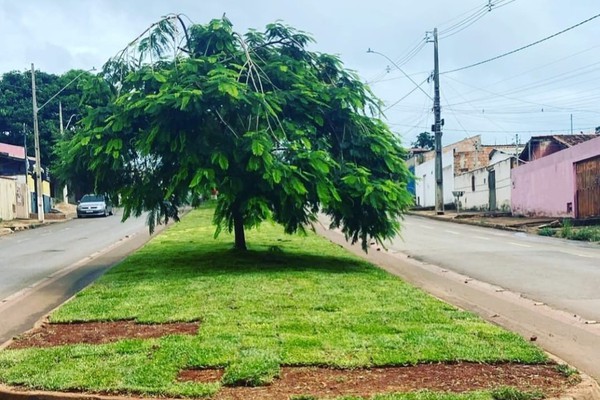 Prefeito Falcão denúncia furto de gramas que tinham acabado de ser plantadas na avenida das Paineiras